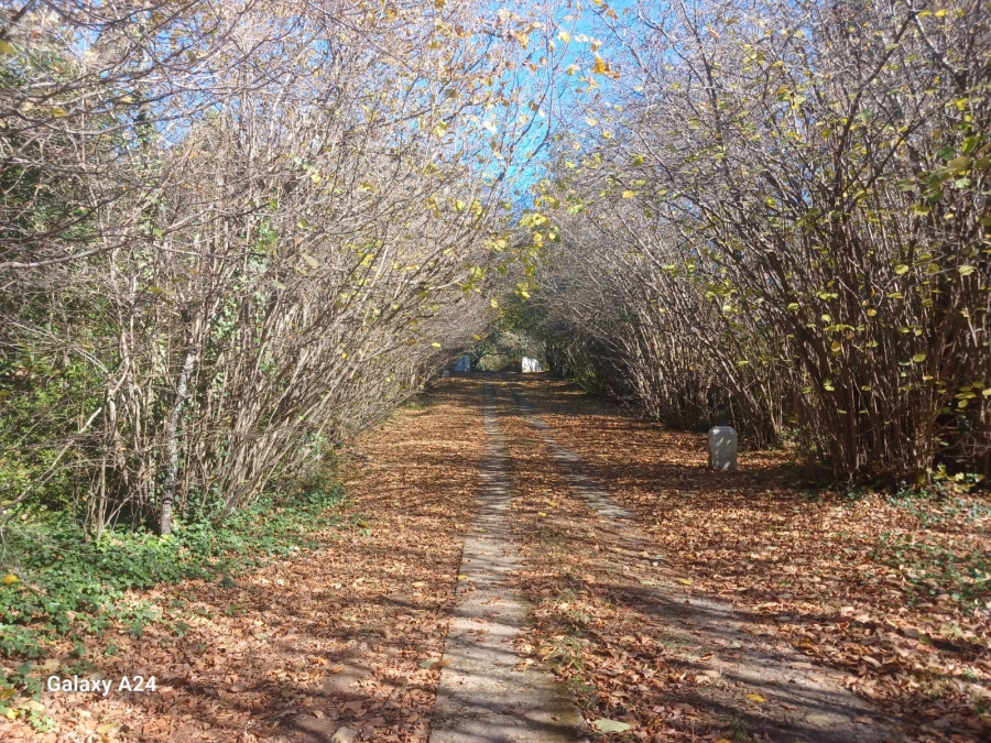 Commercial Property for Sale in Hogsback Eastern Cape